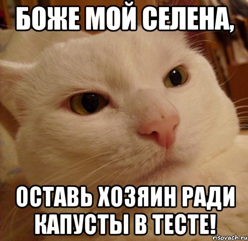 Боже мой Селена, оставь хозяин ради капусты в тесте!, Мем Дерзкий котэ