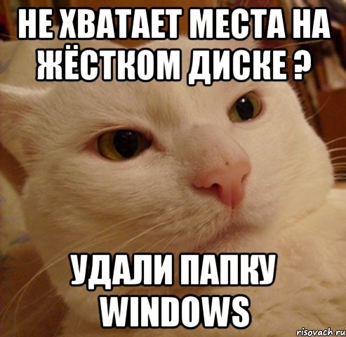 не хватает места на жёстком диске ? удали папку windows, Мем Дерзкий котэ