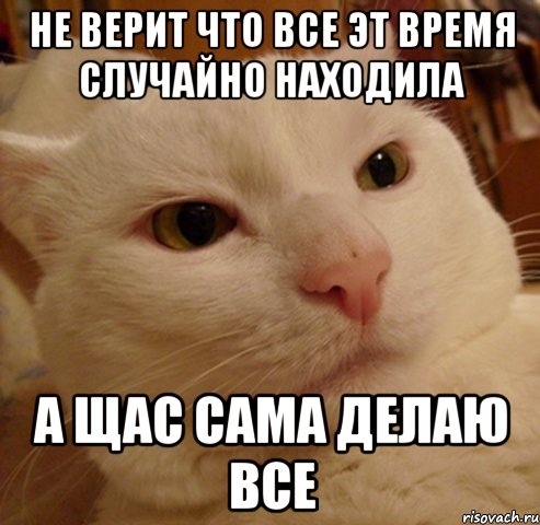 Не верит что все эт время случайно находила А щас сама делаю все, Мем Дерзкий котэ