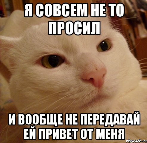 я совсем не то просил и вообще не передавай ей привет от меня, Мем Дерзкий котэ