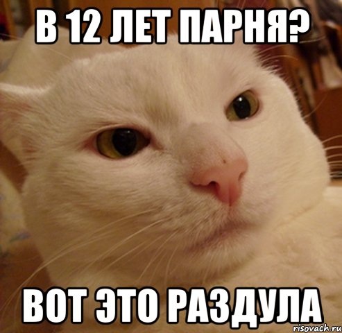 В 12 лет парня? Вот это раздула, Мем Дерзкий котэ