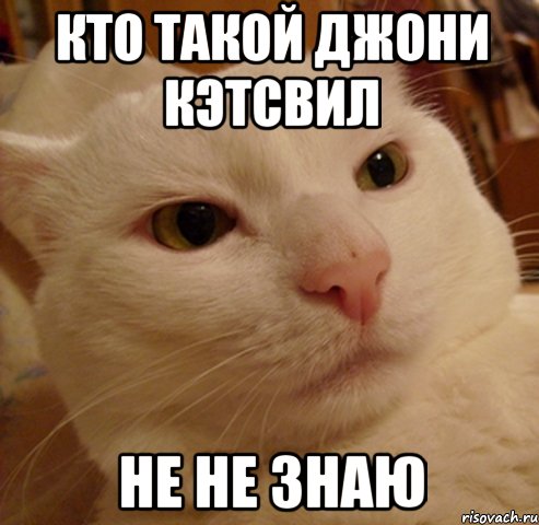 кто такой Джони Кэтсвил не не знаю, Мем Дерзкий котэ