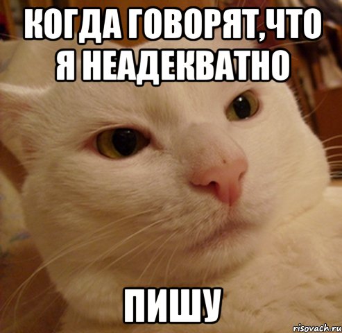 Когда говорят,что я неадекватно Пишу, Мем Дерзкий котэ