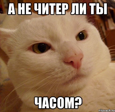 а не читер ли ты часом?, Мем Дерзкий котэ
