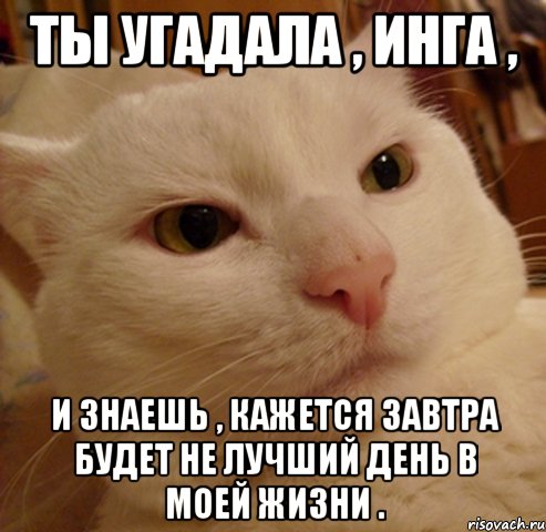 ты угадала , инга , и знаешь , кажется завтра будет не лучший день в моей жизни ., Мем Дерзкий котэ