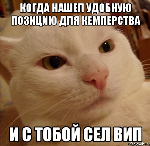 Когда нашел удобную позицию для кемперства и с тобой сел вип, Мем Дерзкий котэ
