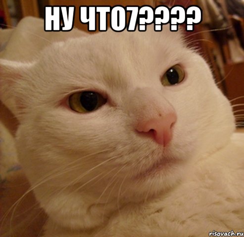 ну что7???? , Мем Дерзкий котэ