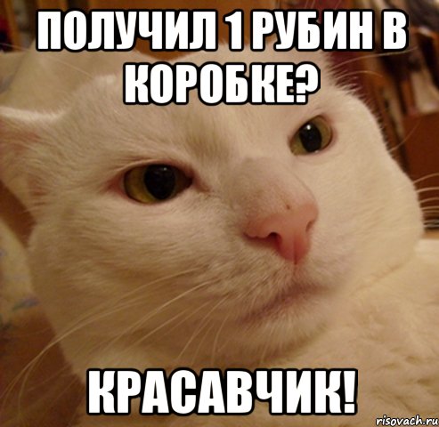 ПОЛУЧИЛ 1 РУБИН В КОРОБКЕ? КРАСАВЧИК!, Мем Дерзкий котэ