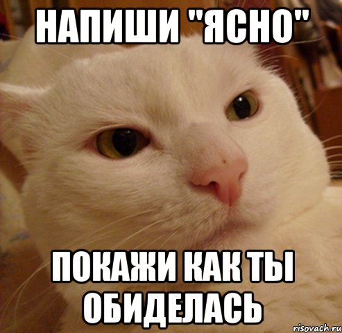 Напиши "ясно" Покажи как ты обиделась, Мем Дерзкий котэ
