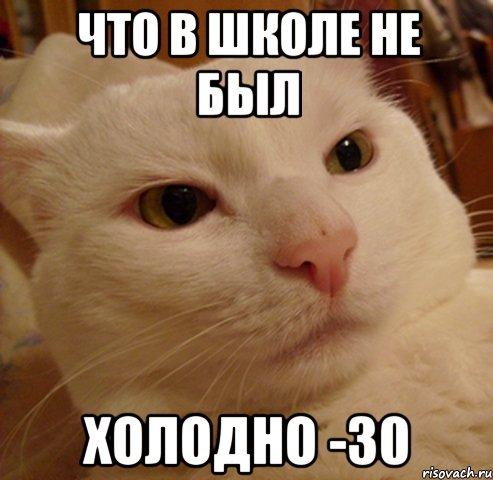 Что в школе не был Холодно -30, Мем Дерзкий котэ
