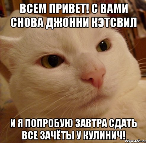 Всем привет! С вами снова Джонни кэтсвил И я попробую завтра сдать все зачёты у Кулинич!, Мем Дерзкий котэ