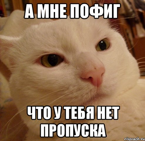 а мне пофиг что у тебя нет пропуска
