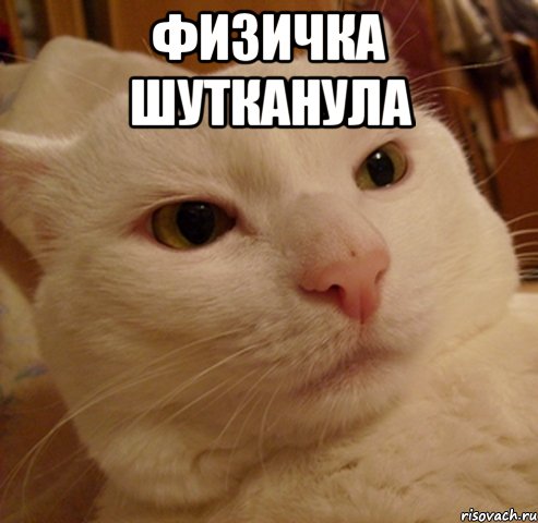 Физичка шутканула , Мем Дерзкий котэ