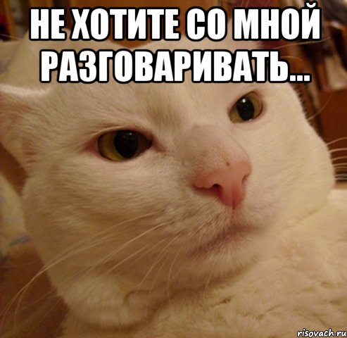Не хотите со мной разговаривать... , Мем Дерзкий котэ