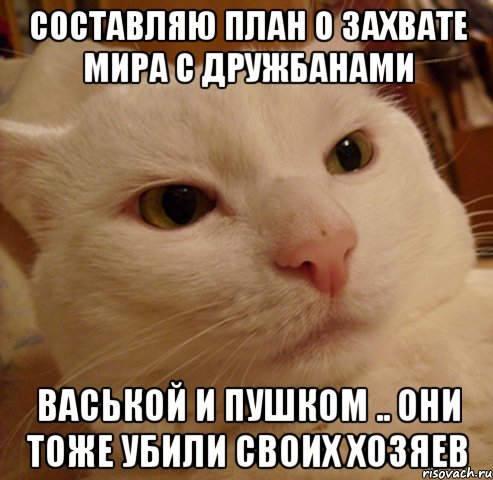 Составляю план о захвате мира с дружбанами Васькой и пушком .. они тоже убили своих хозяев, Мем Дерзкий котэ