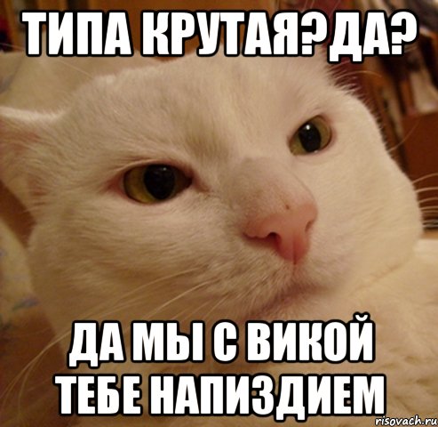 типа крутая?да? да мы с викой тебе напиздием, Мем Дерзкий котэ