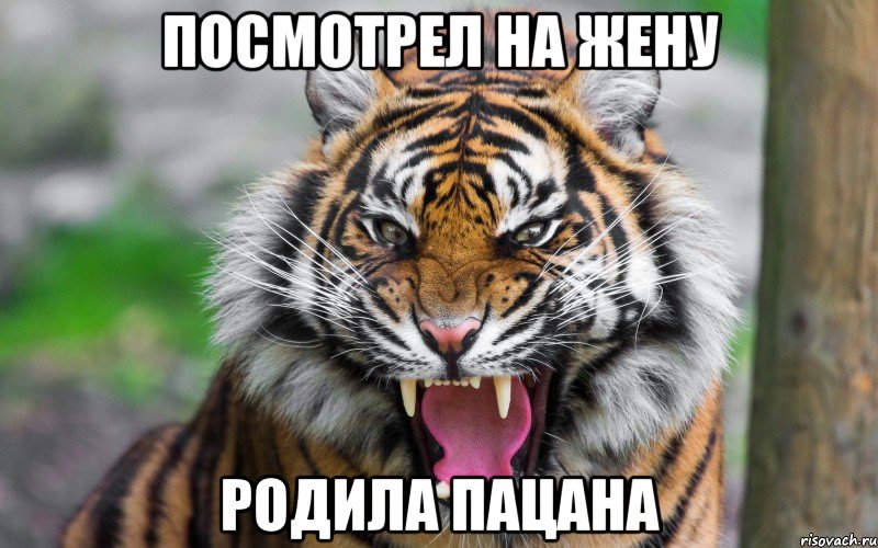 Посмотрел на жену родила пацана