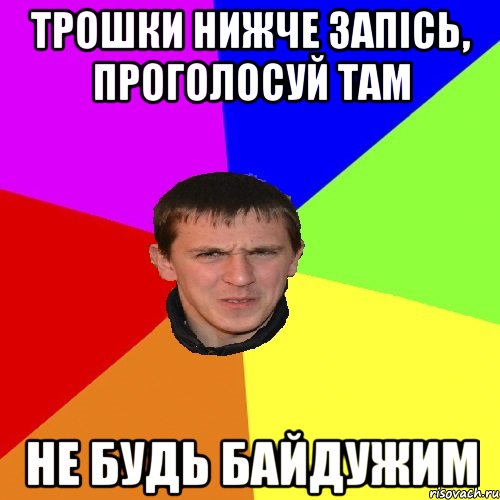 ТРОШКИ НИЖЧЕ ЗАПІСЬ, ПРОГОЛОСУЙ ТАМ НЕ БУДЬ БАЙДУЖИМ, Мем Дикий