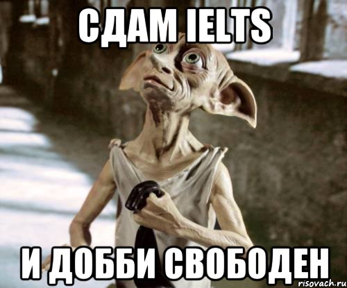 сдам IELTS и добби свободен, Мем добби