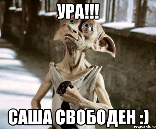 Ура!!! Саша свободен :), Мем добби