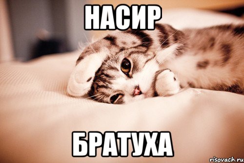 насир братуха