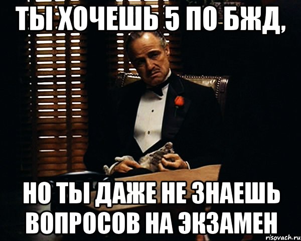 Ты хочешь 5 по БЖД, но ты даже не знаешь вопросов на экзамен, Мем Дон Вито Корлеоне