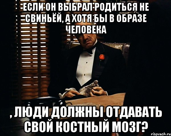 если он выбрал родиться не свиньёй, а хотя бы в образе человека , люди должны отдавать свой костный мозг?, Мем Дон Вито Корлеоне