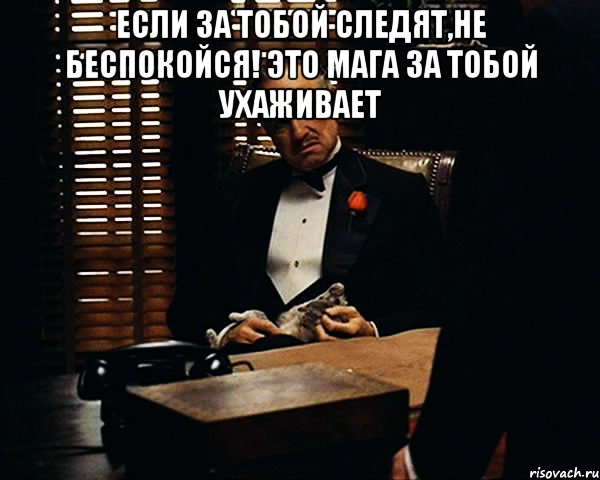 Если за тобой следят,не беспокойся! это Мага за тобой ухаживает , Мем Дон Вито Корлеоне