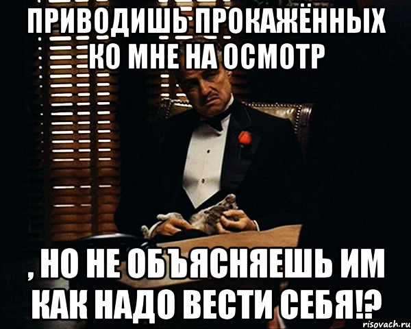 Приводишь прокажённых ко мне на осмотр , но не объясняешь им как надо вести себя!?, Мем Дон Вито Корлеоне