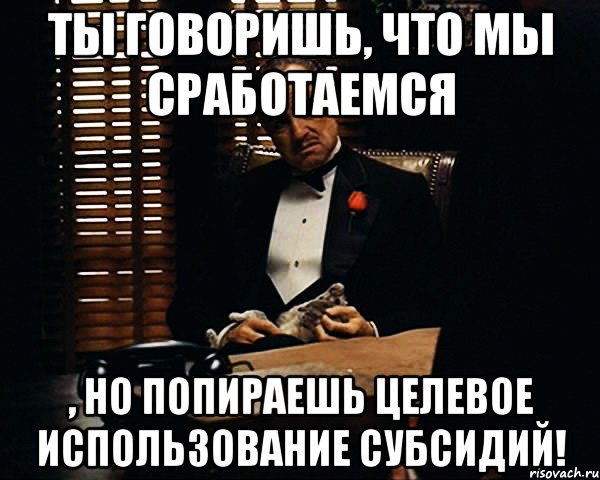 ты говоришь, что мы сработаемся , но попираешь целевое использование субсидий!, Мем Дон Вито Корлеоне