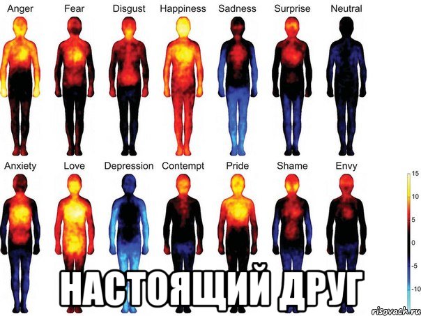  настоящий друг, Мем дружба