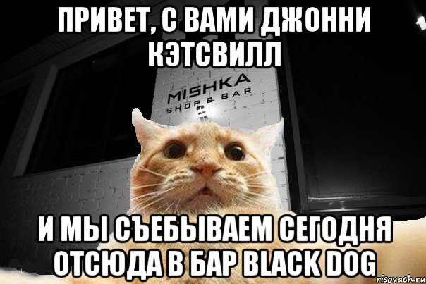 Привет, с вами Джонни Кэтсвилл И мы съебываем сегодня отсюда в бар Black Dog, Мем   Джонни Кэтсвилл