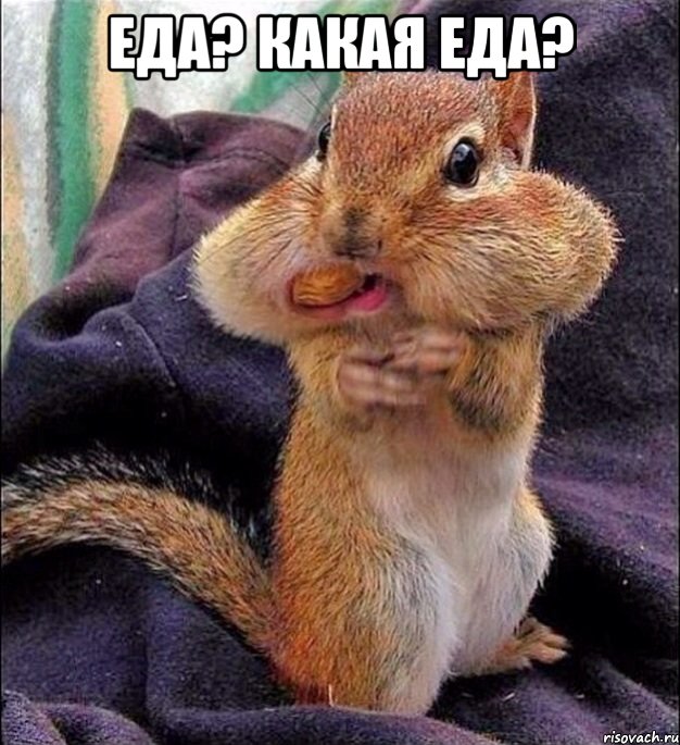 Еда? Какая еда? 