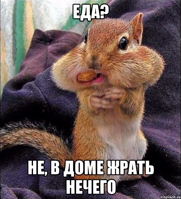 Еда? Не, в доме жрать нечего