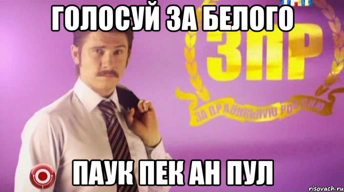 голосуй за белого паук пек ан пул, Мем Егор батрудов Мы за правильную Р