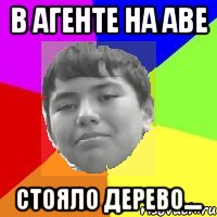 В агенте на аве стояло дерево....
