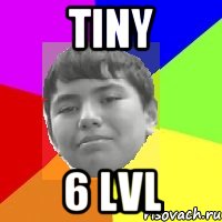 Tiny 6 lvl