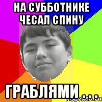 На субботнике чесал спину Граблями . . .