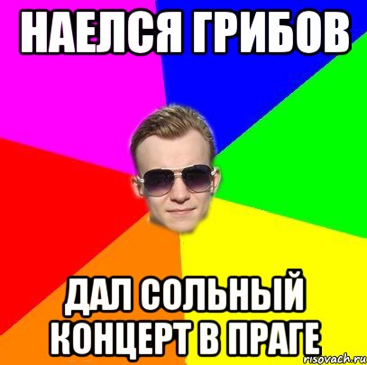 Наелся грибов Дал сольный концерт в Праге