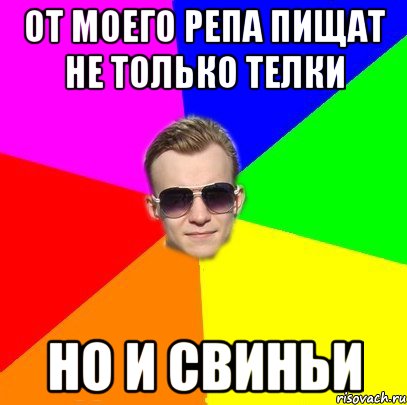 От моего репа пищат не только телки но и свиньи