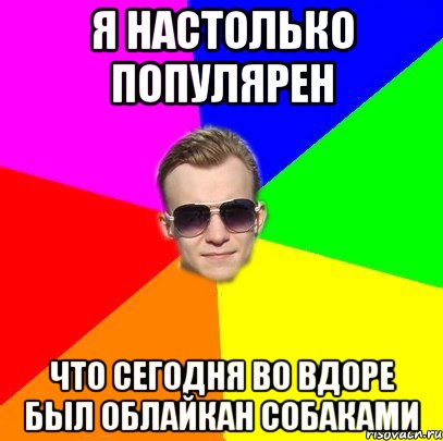 Я настолько популярен Что сегодня во вдоре был облайкан собаками