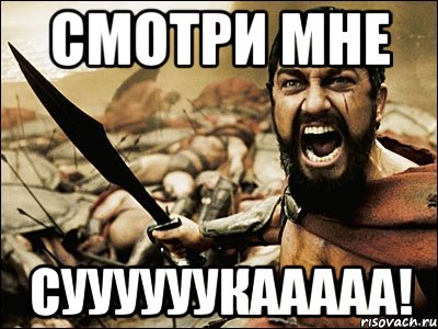 смотри мне СУУУУУУКААААА!, Мем Это Спарта