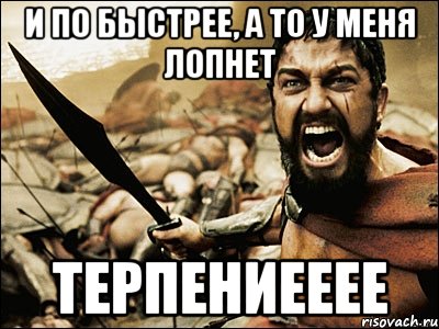 и по быстрее, а то у меня лопнет терпениееее, Мем Это Спарта