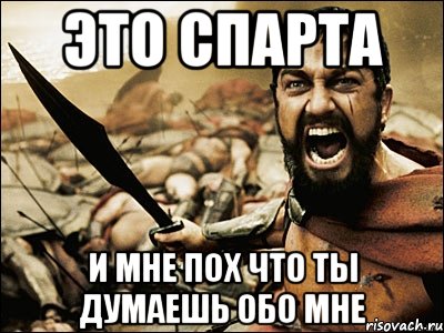 Это Спарта и мне пох что ты думаешь обо мне, Мем Это Спарта