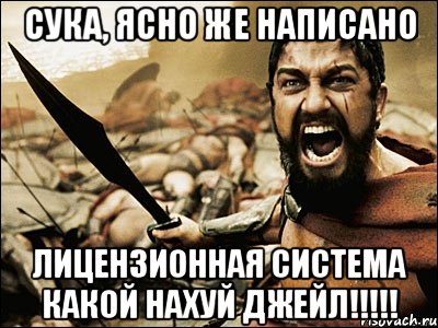 СУКА, ЯСНО ЖЕ НАПИСАНО ЛИЦЕНЗИОННАЯ СИСТЕМА КАКОЙ НАХУЙ ДЖЕЙЛ!!!!!, Мем Это Спарта