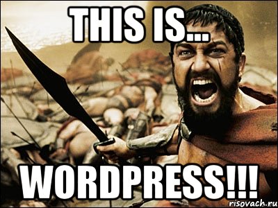 This is... WORDPRESS!!!, Мем Это Спарта