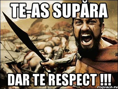 Te-as supăra dar te respect !!!, Мем Это Спарта