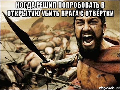 Когда решил попробовать в открытую убить врага с отвёртки , Мем Это Спарта