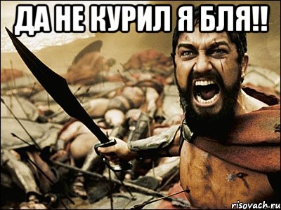 Да не курил я бля!! , Мем Это Спарта