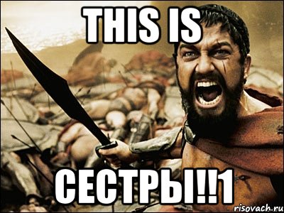 THIS IS CЕСТРЫ!!1, Мем Это Спарта